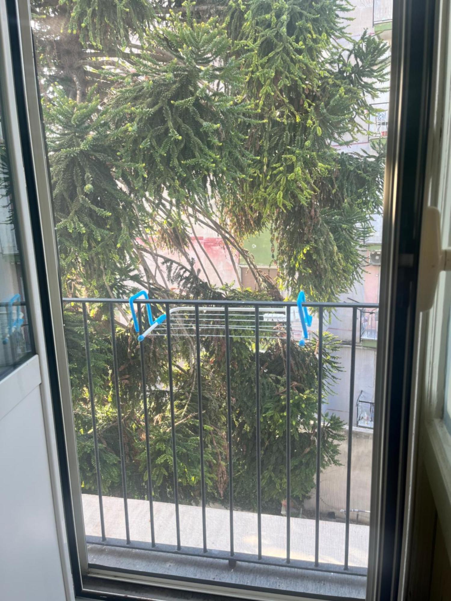 Mediterraneo Apartment Ερκολάνο Εξωτερικό φωτογραφία